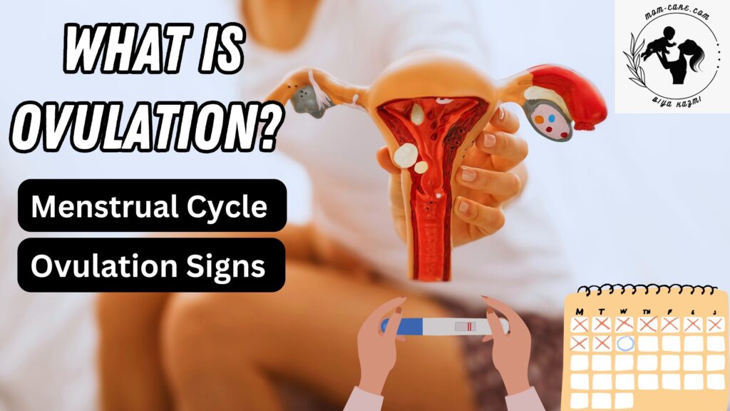 Ovulation meaning in hindi/urdu What is ovulation?