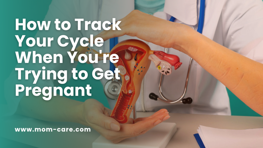 How to Track Your Cycle When You're Trying to Get Pregnant
